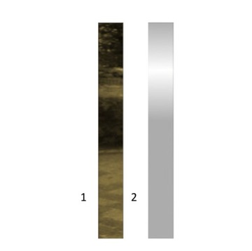 ВНЕШНИЕ ДВЕРИ ИЗ ПОЛЬСКОЙ ИНОКС NPWIS 72MM 100CM
