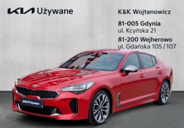 Kia Stinger Liftback 2.0 T-GDI 255KM 2017 Kia Stinger 255KM (bez GPF) 8HP, ESC, TEC, polski salon, I wl., pelny serw