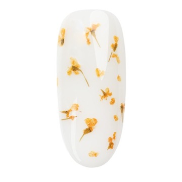 NEONAIL Украшение ногтей - сухоцветы 03 Оранжевый