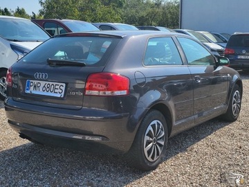 Audi A3 8P Hatchback 3d 1.9 TDI 105KM 2006 Audi a3 1.9TDI 105KM 2006r 351TysKm 1.9 Diesel 105KM, zdjęcie 3
