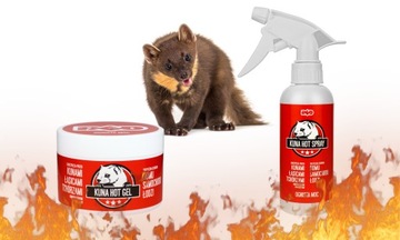 НАБОР ДЛЯ ЗАЩИТЫ ДВИГАТЕЛЯ АВТОМОБИЛЯ ОТ ГРЫЗУНОВ ГЕЛЬ-СПРЕЙ КРАСНЫЙ