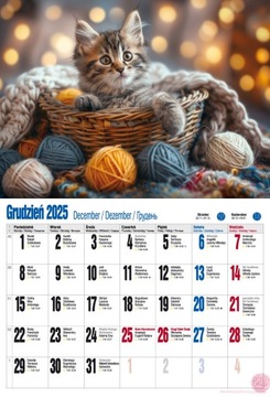 Настенный календарь CATS KITTENS 2024+2025