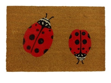 WYCIERACZKA WEJŚCOWA POD DRZWI KOKOS BUTY 40X60CM