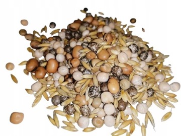 POPLON STRĄCZKOWO-ZBOŻOWA MIESZANKA 1KG