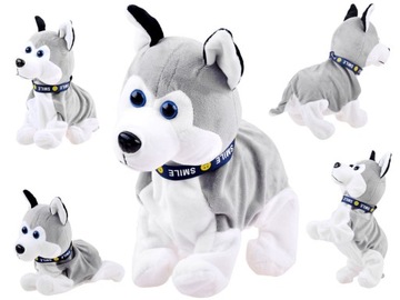 INTERAKTYWNA MASKOTKA PIES HUSKY CHODZI /DŹWIĘK