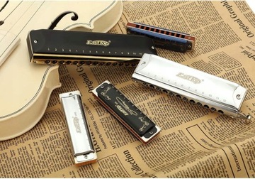 Профессиональная диатоническая блюзовая гармоника, 10 шт.