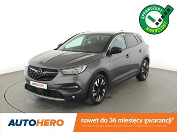 Opel 2019 Opel Grandland X Navi Kamera cofania Klimatyzacja