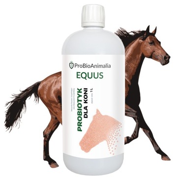 Probiotyk dla koni EQUUS 1L Firma Rodzinna (Eko)