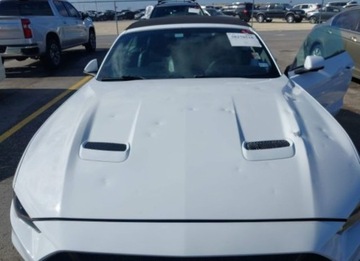 Ford Mustang VI 2019 Ford Mustang 2019, 5.0L, GT PREMIUM, od ubezpieczalni, zdjęcie 8