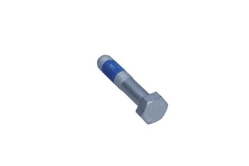 ŚRUBA KOŁA PASOWEGO WAŁU KORBOWEGO FORD 2.0TDCI/2.2TDCI 1250298