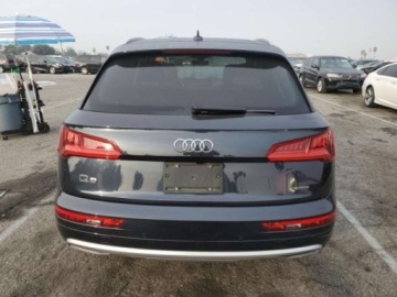 Audi Q5 II 2019 Audi Q5 Q5 premium plus 2.0 Benzyna 248KM, zdjęcie 3