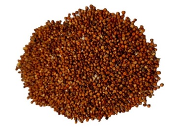 SORGO CZERWONE 1kg