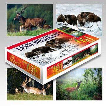 Puzzle , Leśni mieszkańcy 4x54 elementy