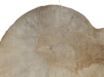 Кусочек каштана 50х37см Часы необычной формы