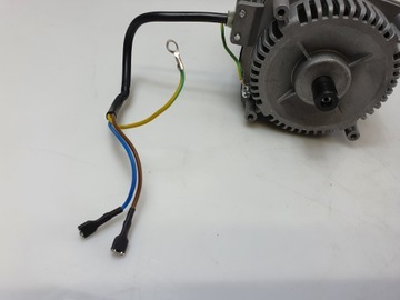 STRUGARKA GRUBOŚCIÓWKA parkside silnik