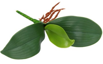 ЛИСТЬЯ ОРХИДЕИ С РЕЗИНОВЫМИ ИСКУССТВЕННЫМИ КОРНЯМИ КАК LIVING LUX