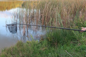 Карбоновая стойка для крепления подсака 3 м PRO FL