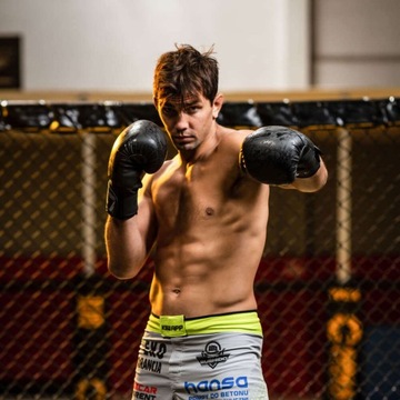 БОКСЕРСКИЕ ПЕРЧАТКИ ДЛЯ ТРЕНИРОВОЧНЫХ БОКСЕРСКИХ ПЕРЧАТОК DBX BUSHIDO 10 унций