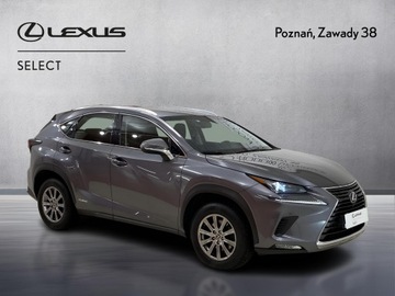Lexus NX I SUV 300h 197KM 2017 Lexus NX 300h Elegance AWD I (2014-2021) 300h Eleg, zdjęcie 3