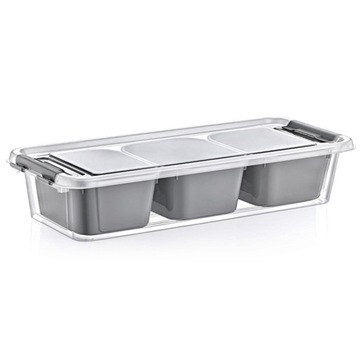 POJEMNIK Z 3 WKŁADAMI ORGANIZER 1,2L 21063 MIX