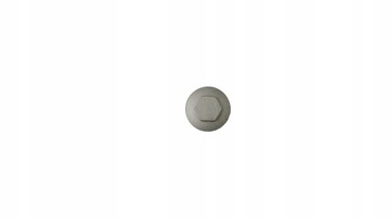 KOREK SPUSTU OLEJU + ORING GY6 4T