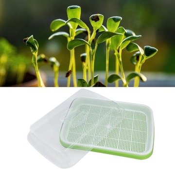 Лоток для проращивания семян, лоток для проращивания с прозрачной крышкой