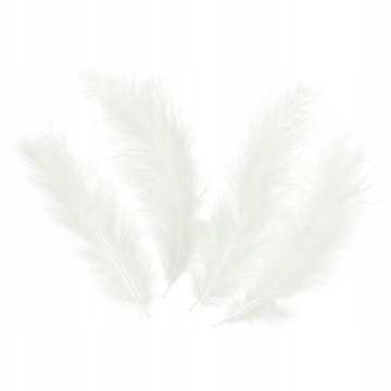 ДЕКОРАТИВНЫЕ ПЕРЬЯ РОЖДЕСТВЕНСКАЯ ЛИЛА 50 ШТ ДЛИН.
