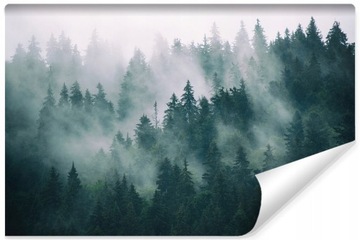 Fototapeta Las we mgle 270 x 405