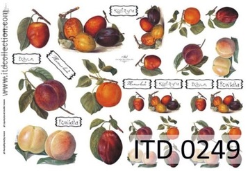 Papier decoupage klasyczny 60g 0249 A4 Papiery