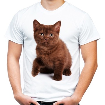 Koszulka śmieszna z brązowym kotem śmiesznym kotkiem t-shirt na prezent XL