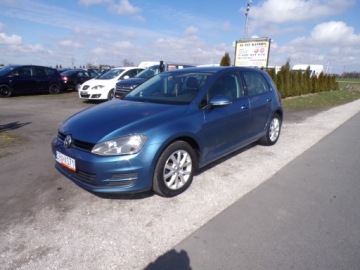 Volkswagen Golf VII Hatchback 3d 1.6 TDI-CR DPF 105KM 2013 VOLKSWAGEN GOLF VII 1.6 TDI Z NIEMIEC ZAREJESTROWANY, zdjęcie 2