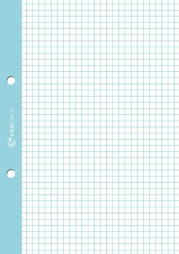 Вкладыш для скоросшивателя с цветной сеткой А5 50к х 10.