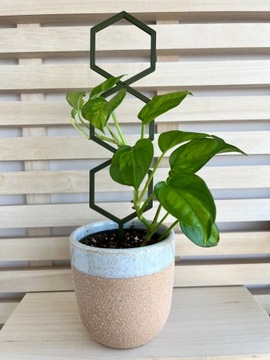 Опоры для цветов, растений, лестничная опора, пергола HEXAL M - 31см