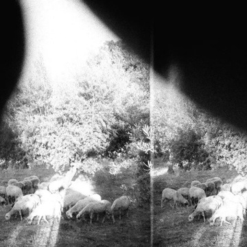 CD Godspeed You! Black Emperor: 'Asunder, Sweet and Other Distress' Asunder