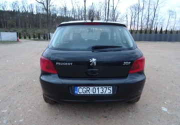 Peugeot 307 I Hatchback 2.0 16V 136KM 2004 Peugeot 307 2.0ben,klima,alu,zarejestrowan 2.0 Benzyna 136KM, zdjęcie 8