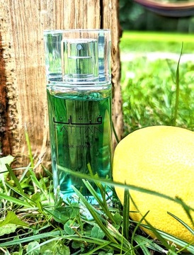 RASASI FATTAN POUR HOMME EDP 50 МЛ ОРИГИНАЛ