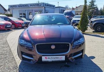 Jaguar XF II Sportbrake 2.0 i4D 163KM 2017 Jaguar XF sprowadzone, zarejestrowane 2.0 Diesel 163KM, zdjęcie 11