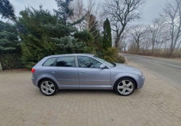 Audi A3 8P Hatchback 3d 2.0 TDI PD 140KM 2004 Audi A3 Sportback Audi A3 Sportback 2.0 TDI Ambition 2.0 Diesel 140KM, zdjęcie 2