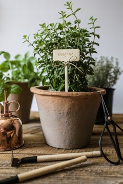 Тег Тег Сад Тег Сад Ваш текст