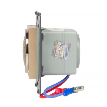 Динамик LIVOLO BLUETOOTH WBS-63 Золотой