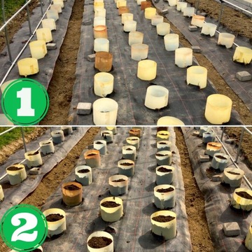 Opaski Doniczki Cylindry Spinane 8x9_10 SZT.