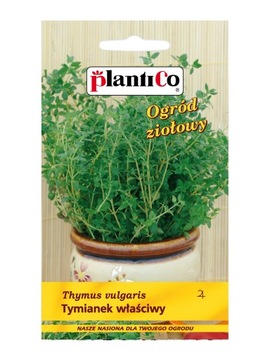 PlantiCo Tymianek właściwy