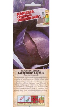 Kapusta czerwona Langendijker Dauer 2 2g / O /