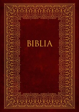 BIBLIA PISMO ŚWIĘTE STAREGO I NOWEGO TEST.. EBOOK