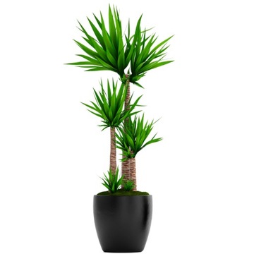 УДОБРЕНИЕ ДЛЯ JUK Palm Dracen 900ML КОНЦЕНТРАТ POWER OF GREEN PLAN NUTRITIONER