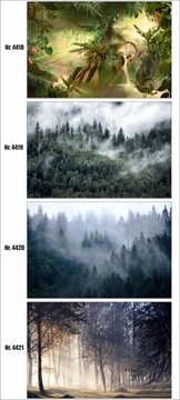 Фотообои на заказ лес в тумане, деревья, природа