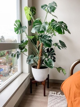 Субстрат ЗЕМЛЯ ДЛЯ МОНСТРИЯ Удобрение СЕРАМИС Перлит 8л