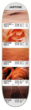 blat deskorolki Jart Jartone HC - JADE0021A020