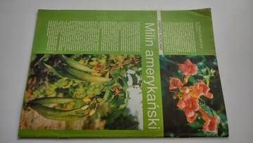 Дзялковец 9 1994 г.