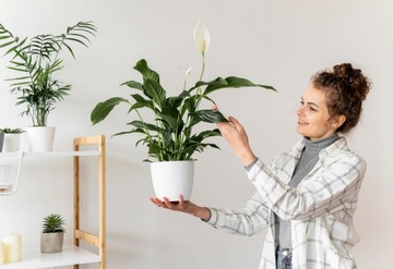 BIGOS Universal Earth Monstera Flowers 15л Биогумус Керамзит Перлит